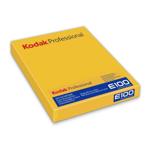 [8960312] KODAK PELLICOLA EKTACHROME 100 DIAPOSITIVA 4X5/10 FOGLI