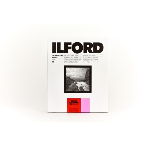 [1606320] ILFORD ISRC21M 17.8X24CM 25
